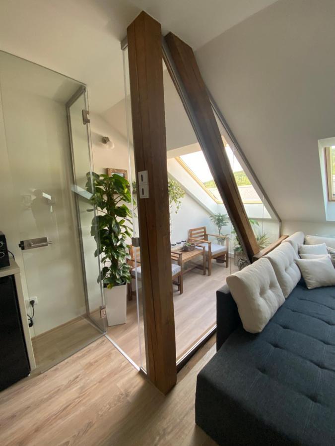 Apartmany & Wellness Revenite Jeseník Exteriér fotografie