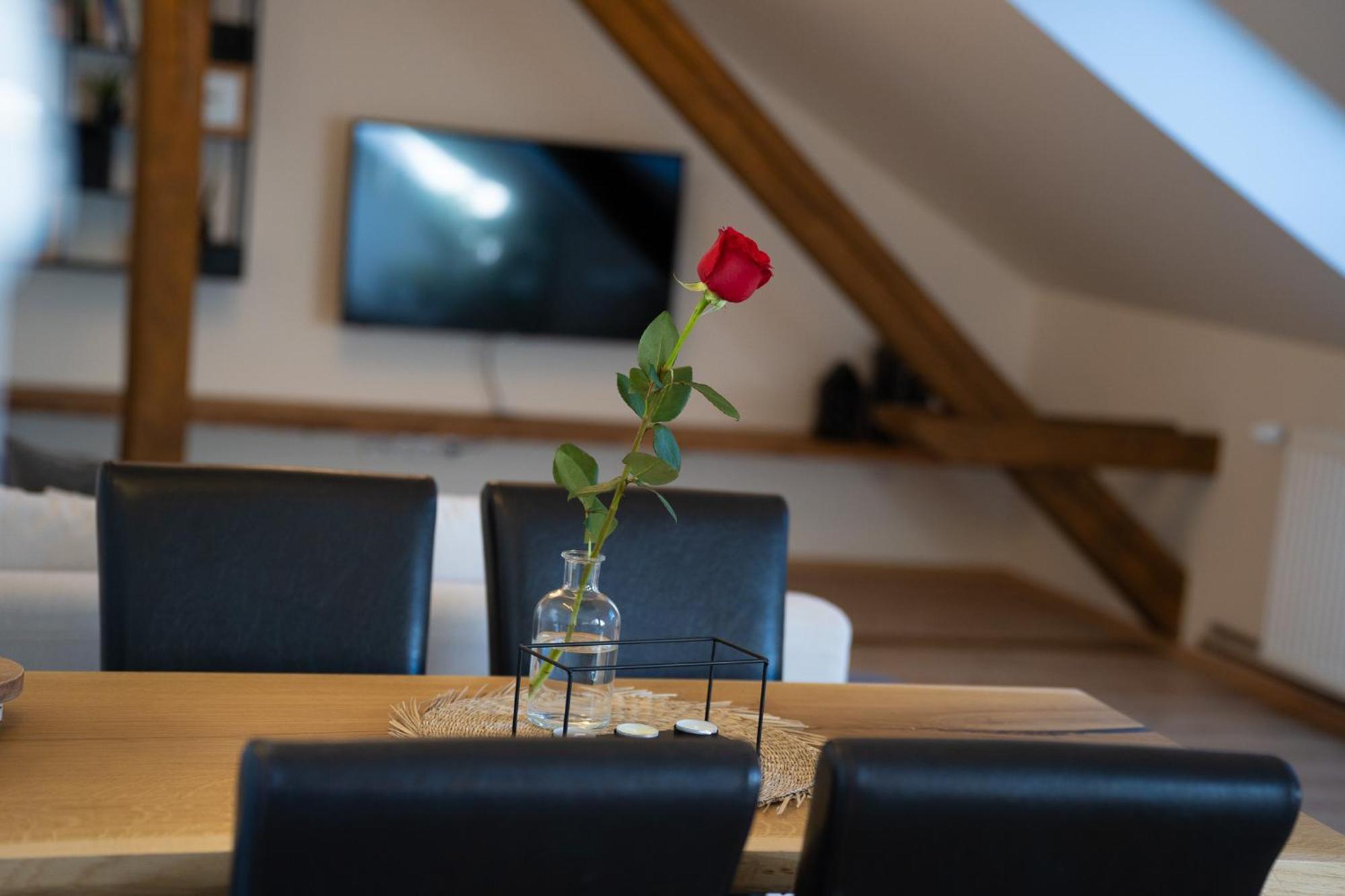 Apartmany & Wellness Revenite Jeseník Exteriér fotografie