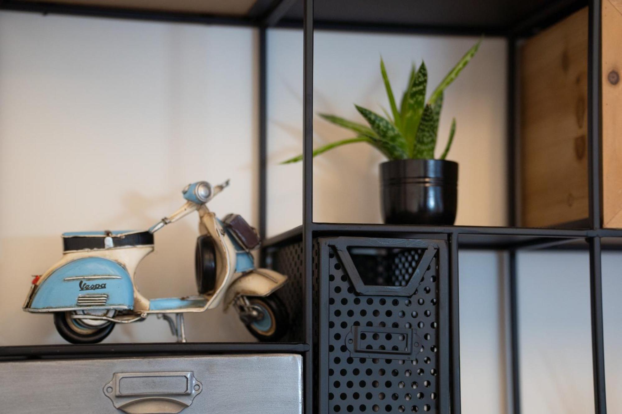 Apartmany & Wellness Revenite Jeseník Exteriér fotografie