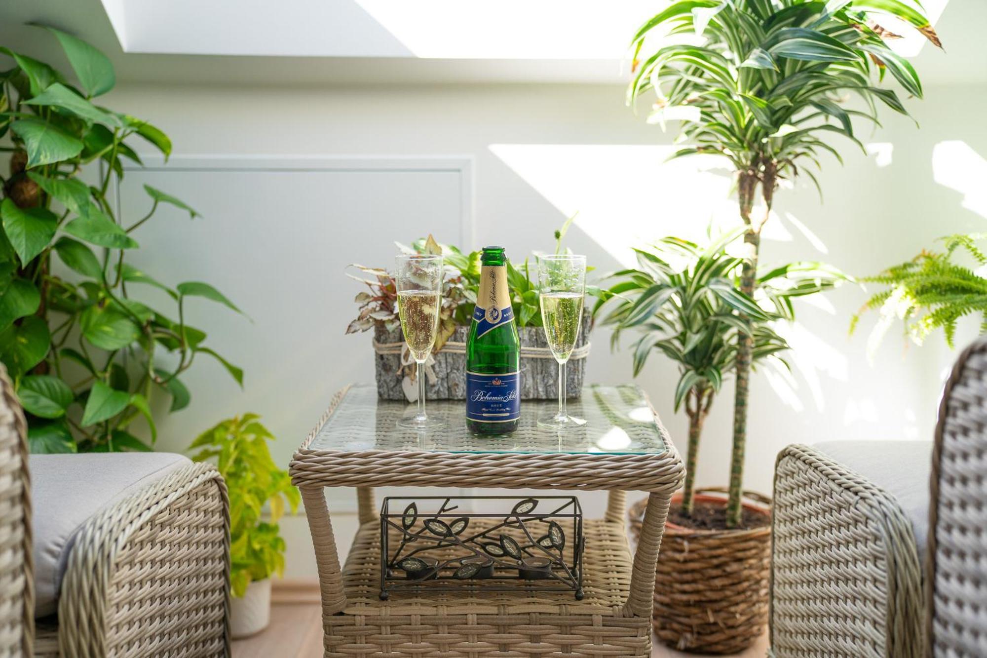Apartmany & Wellness Revenite Jeseník Exteriér fotografie